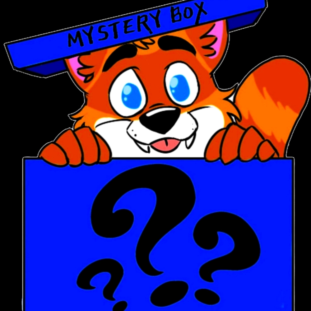 Mystery Box of Random Clothes and Shoes 5-7 Pieces